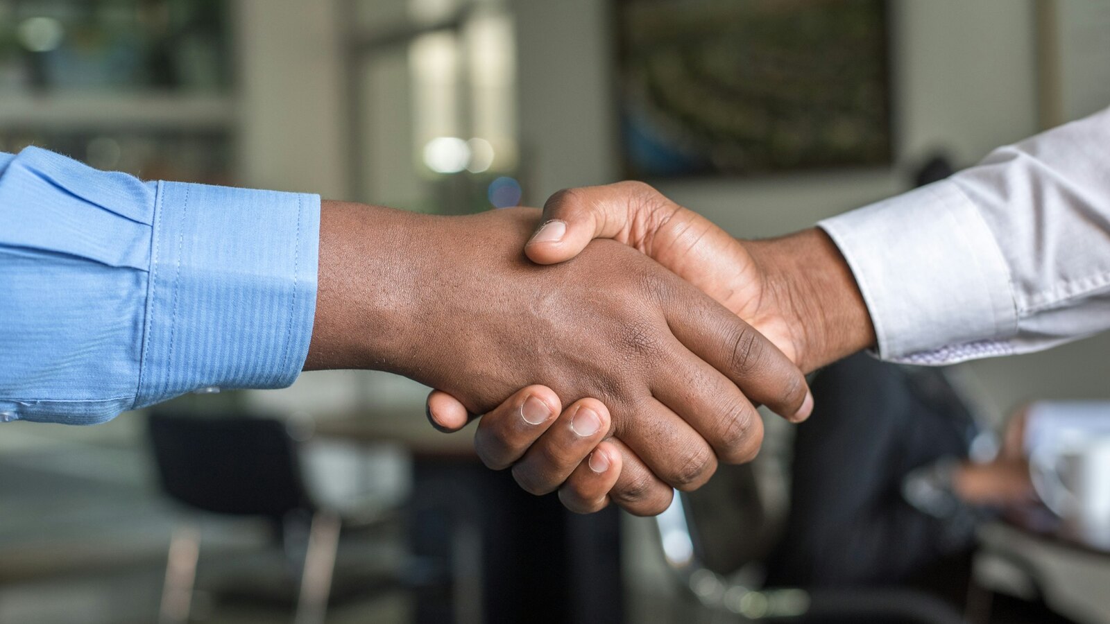 Professional interview and handshake in an office